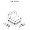 Inter Module