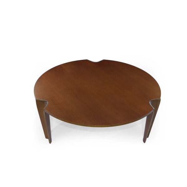 Raika Coffee Table