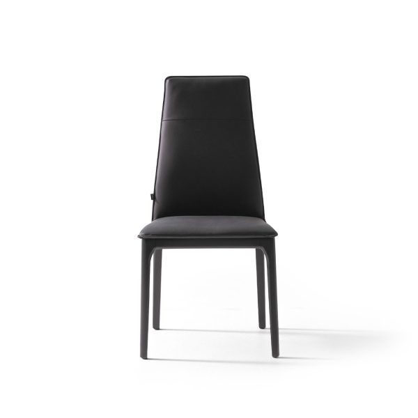 Viyana Plus Dining Chair