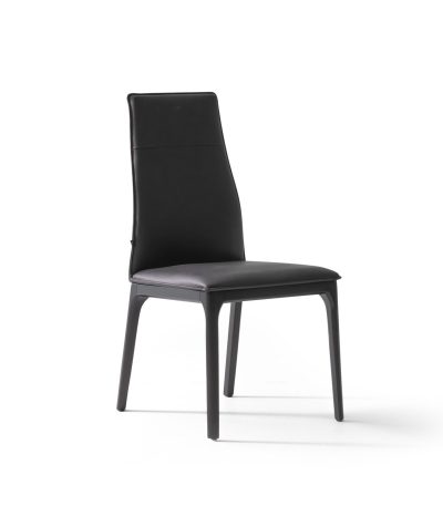 Viyana Plus Dining Chair