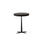 Pingui Coffee Table