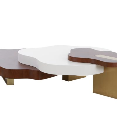 Amoeba Nesting Coffee Tables
