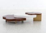 Amoeba Nesting Coffee Tables