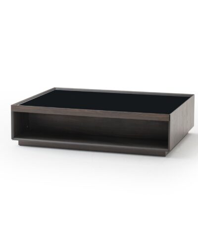 Luis modern wood coffee table with glass top